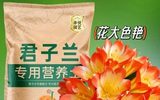 君子兰需要什么肥料（君子兰需要什么肥料比较好）