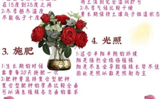 玫瑰花花期怎么延长（玫瑰花花期延长小妙招）