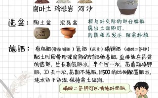兰花出芽期怎么管理（兰花出花芽到开花要多久）