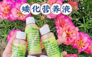 浇花掺点小东西（浇花水里加什么会更好）