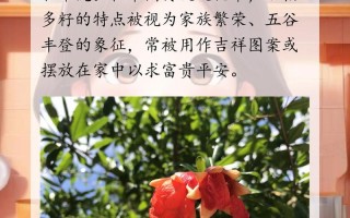过年给花来个大扫除（过年大扫除说的吉利话）