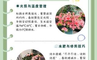 杜鹃花花期养护（杜鹃花花期是多长时间）
