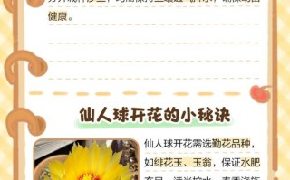 仙人球怎么养（白星仙人球怎么养）