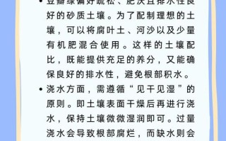 豆瓣绿怎么换盆（豆瓣绿换盆需要剪根吗）