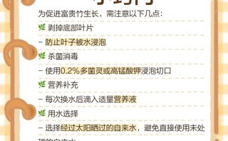 富贵竹怎么水养才旺盛（富贵竹土养方法详解）