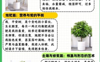 平安树多少天浇一次水（平安树一般几天浇一次水）