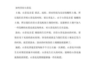 山茶花养殖的禁忌（山茶花咋样养比较好）