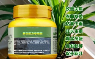 怎样让一叶兰长得高（一叶兰怎么样长的快）