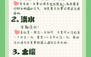 冬天浇水一句话（入冬浇水）