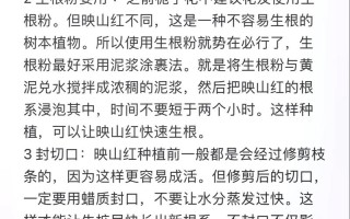 蜡叶杜鹃的整形修剪和花期控制（蜡质杜鹃）