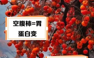 柿子发涩麻嘴巴（柿子涩嘴怎么回事）