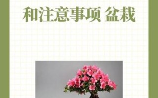 养好杜鹃花的秘诀（如何养杜鹃花）