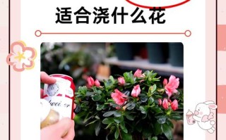 早晚浇花哪个好（浇花一般是早上浇水还是晚上浇水）