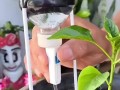 万能浇水神器（浇水神器哪个牌子好）