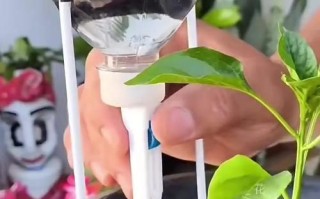 万能浇水神器（浇水神器哪个牌子好）