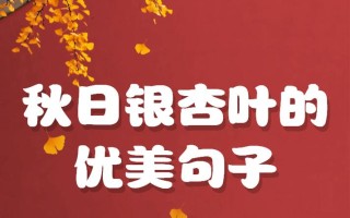初秋赶紧给花扒层皮（秋季切花）