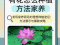 荷花的栽培方法（荷花的栽培方法包括池塘栽培）