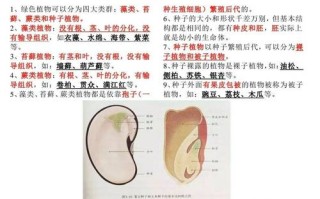 孢子植物科普小知识（孢子植物科普小知识图片）