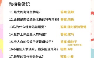 冰梅多肉植物百科知识（冰梅多肉植物图片欣赏）