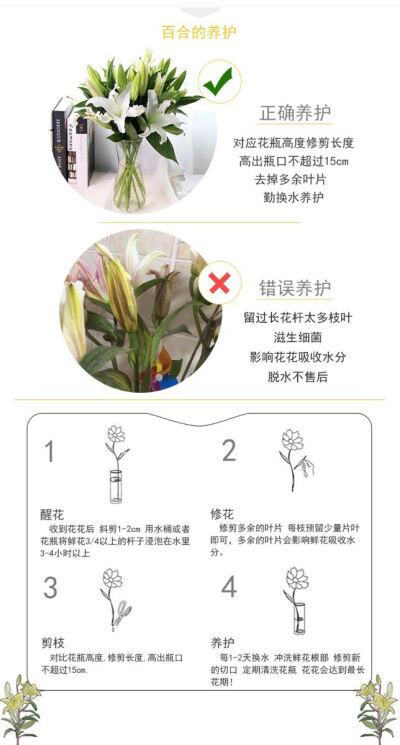 关于植物的养护知识有哪些(植物养护口诀)-第5张图片-多多自然网 关于植物的养护知识有哪些(植物养护口诀)-第5张图片-多多自然网