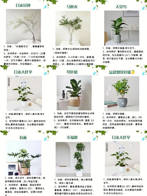 关于植物种植和养护的知识(关于植物的种植小技巧)-第1张图片-多多自然网 关于植物种植和养护的知识(关于植物的种植小技巧)-第1张图片-多多自然网