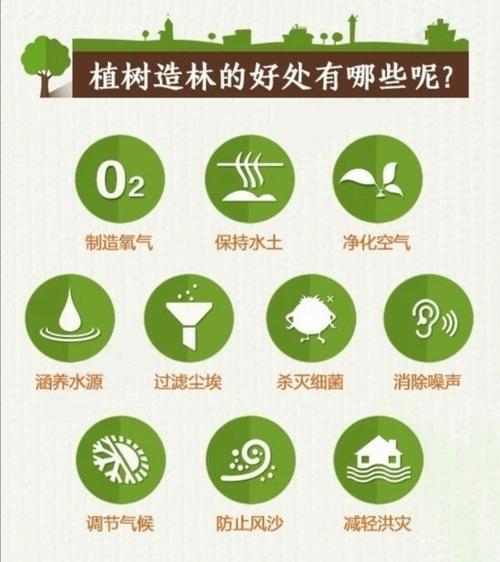 草坪植物与环境的关系(草坪与地被植物在园林绿化中的功能与造景设计)-第8张图片-多多自然网 草坪植物与环境的关系(草坪与地被植物在园林绿化中的功能与造景设计)-第8张图片-多多自然网