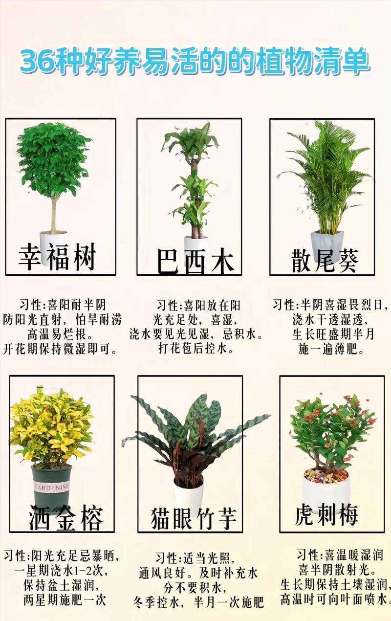 家养植物的养护知识(家养植物的养护知识有哪些)-第2张图片-多多自然网 家养植物的养护知识(家养植物的养护知识有哪些)-第2张图片-多多自然网