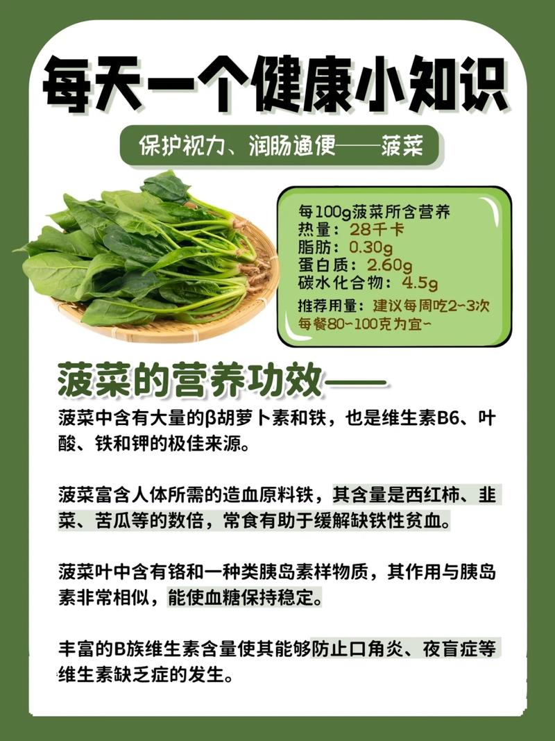 菠菜植物科普知识大全集(菠菜你知道吗)-第2张图片-多多自然网 菠菜植物科普知识大全集(菠菜你知道吗)-第2张图片-多多自然网