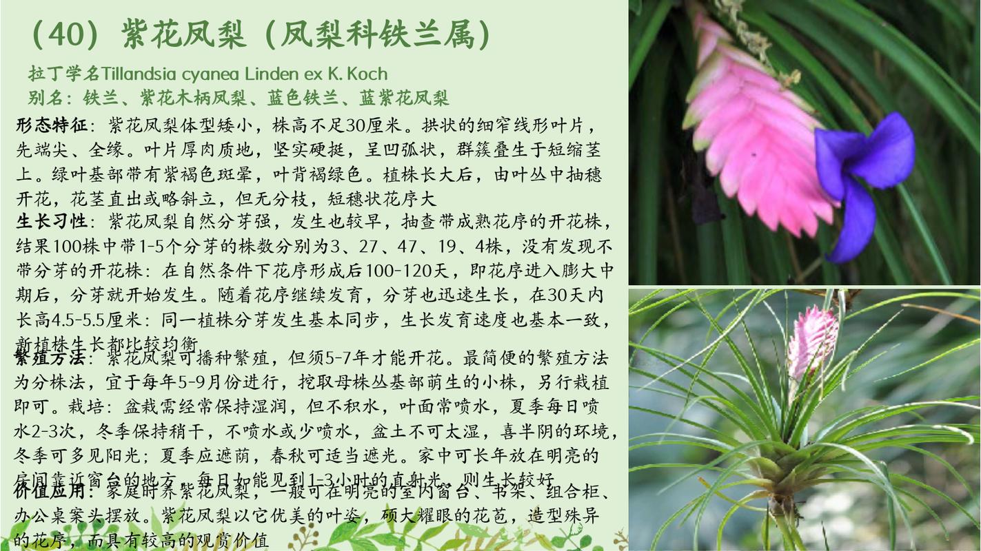 包含不同植物的科普知识有哪些的词条-第4张图片-多多自然网 包含不同植物的科普知识有哪些的词条-第4张图片-多多自然网