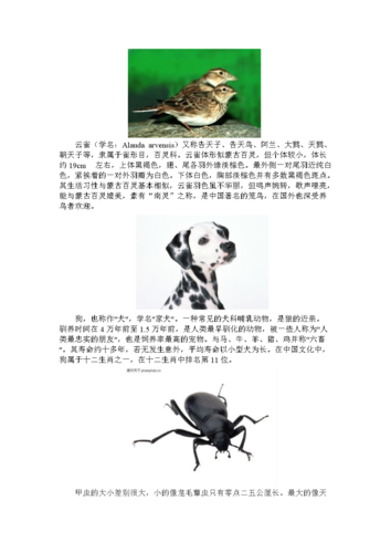 常见植物有趣知识有哪些(20种常见有趣的植物)-第2张图片-多多自然网 常见植物有趣知识有哪些(20种常见有趣的植物)-第2张图片-多多自然网
