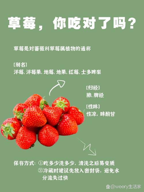 草莓植物知识介绍大全(草莓的植物图片)-第3张图片-多多自然网 草莓植物知识介绍大全(草莓的植物图片)-第3张图片-多多自然网