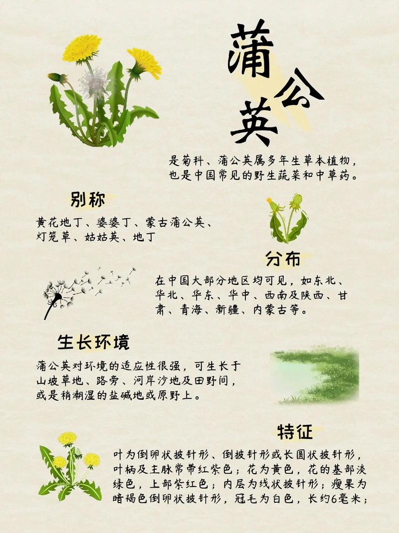 常见植物别名冷知识（十种常见的植物名称简介）-第3张图片-多多自然网