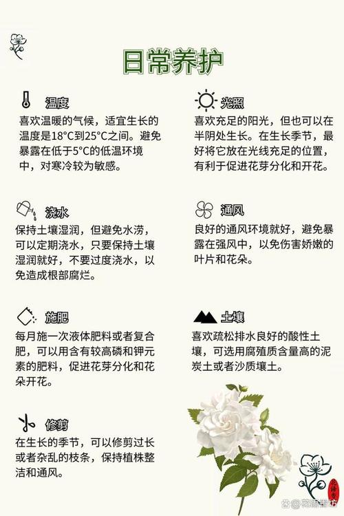 栀子花花期后怎么养护(栀子花花期养护你知道吗?这几点很重要)-第1张图片-多多自然网 栀子花花期后怎么养护(栀子花花期养护你知道吗?这几点很重要)-第1张图片-多多自然网