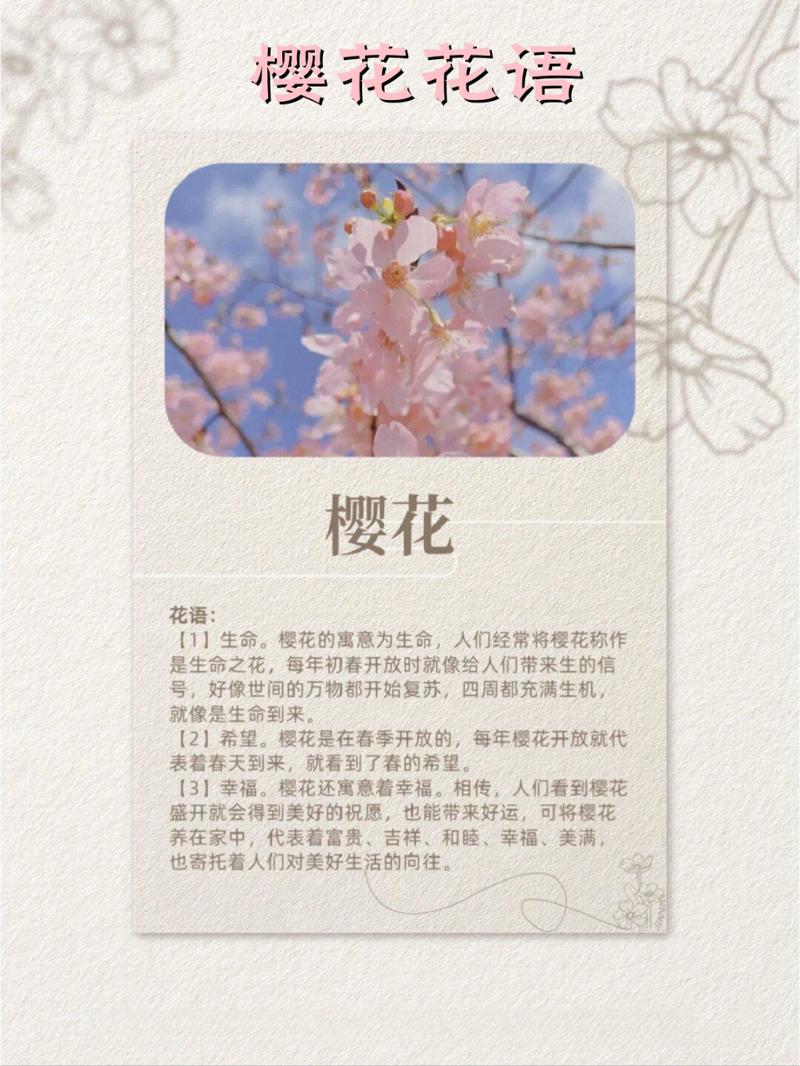 盆栽日本樱花怎么养(日本樱花可以盆栽吗)-第2张图片-多多自然网 盆栽日本樱花怎么养(日本樱花可以盆栽吗)-第2张图片-多多自然网
