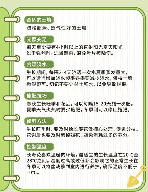 长寿花多久浇一次水(长寿花多久浇一次水比较好)-第2张图片-多多自然网 长寿花多久浇一次水(长寿花多久浇一次水比较好)-第2张图片-多多自然网