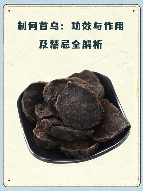 延药睡莲的水肥管理(延药睡莲有毒吗)-第3张图片-多多自然网 延药睡莲的水肥管理(延药睡莲有毒吗)-第3张图片-多多自然网