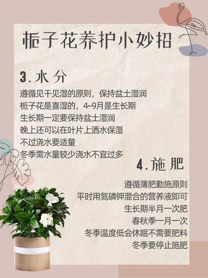 栀子花夏天怎么养(栀子花夏天好养吗)-第7张图片-多多自然网 栀子花夏天怎么养(栀子花夏天好养吗)-第7张图片-多多自然网