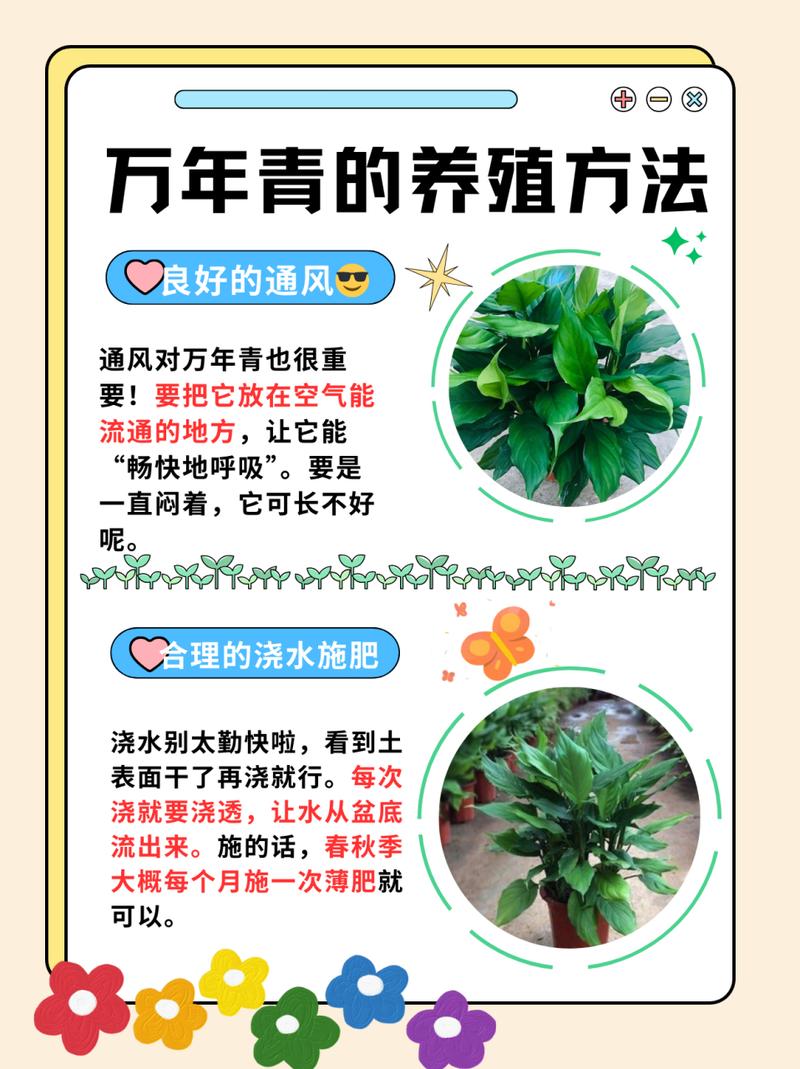 虎眼万年青怎么浇水(虎眼万年青怎么浇水视频)-第2张图片-多多自然网 虎眼万年青怎么浇水(虎眼万年青怎么浇水视频)-第2张图片-多多自然网