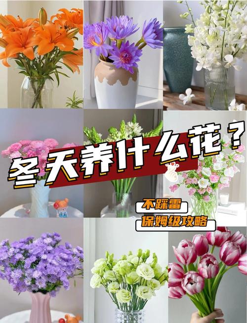 养花冬天要防冻(家庭养花冬天需要施肥吗)-第4张图片-多多自然网 养花冬天要防冻(家庭养花冬天需要施肥吗)-第4张图片-多多自然网