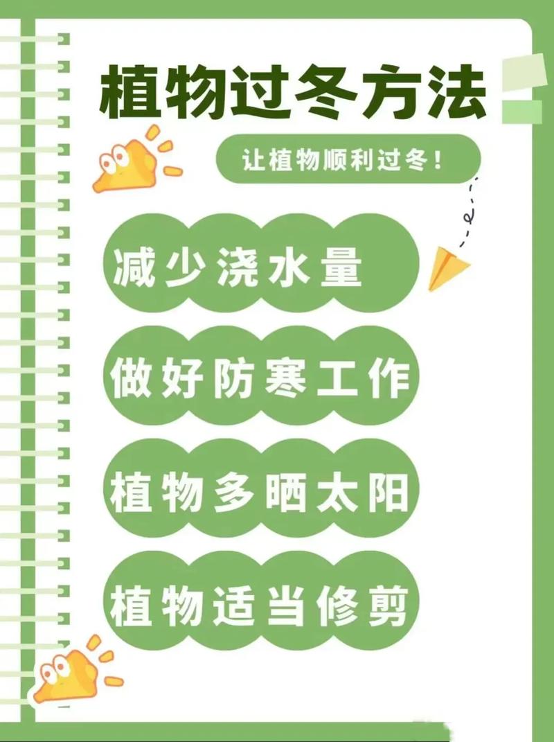 养花冬天要防冻(家庭养花冬天需要施肥吗)-第5张图片-多多自然网 养花冬天要防冻(家庭养花冬天需要施肥吗)-第5张图片-多多自然网