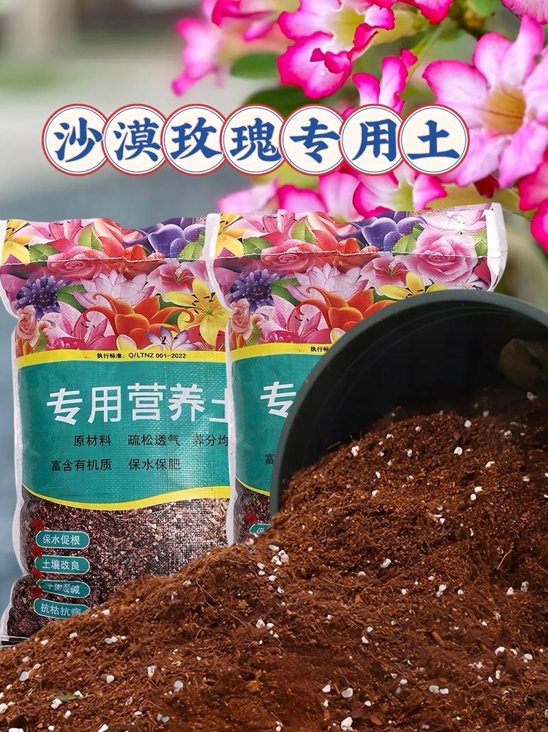 沙漠玫瑰养殖用什么土(沙漠玫瑰用什么土种植比较好)-第5张图片-多多自然网 沙漠玫瑰养殖用什么土(沙漠玫瑰用什么土种植比较好)-第5张图片-多多自然网
