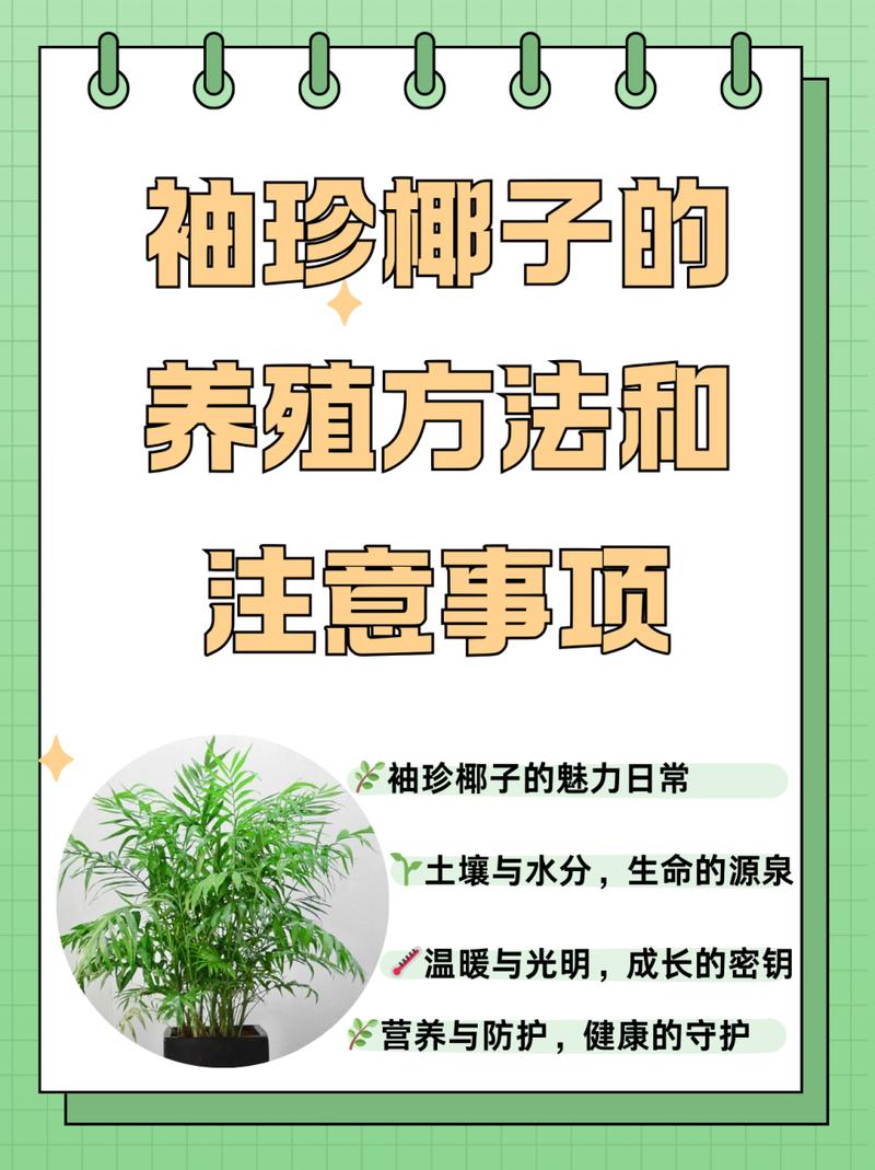 袖珍椰子怎么养长得快(袖珍椰子怎样繁殖怎样繁殖)-第1张图片-多多自然网 袖珍椰子怎么养长得快(袖珍椰子怎样繁殖怎样繁殖)-第1张图片-多多自然网