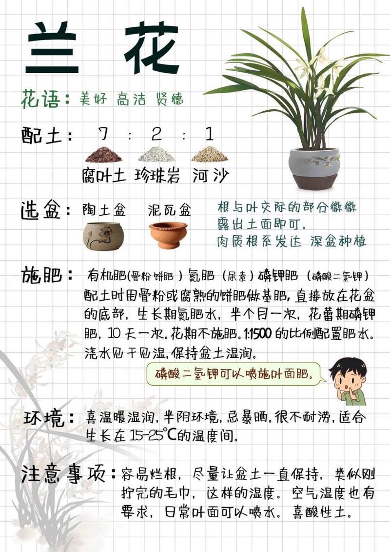 兰花出芽期怎么管理(兰花出花芽到开花要多久)-第1张图片-多多自然网 兰花出芽期怎么管理(兰花出花芽到开花要多久)-第1张图片-多多自然网
