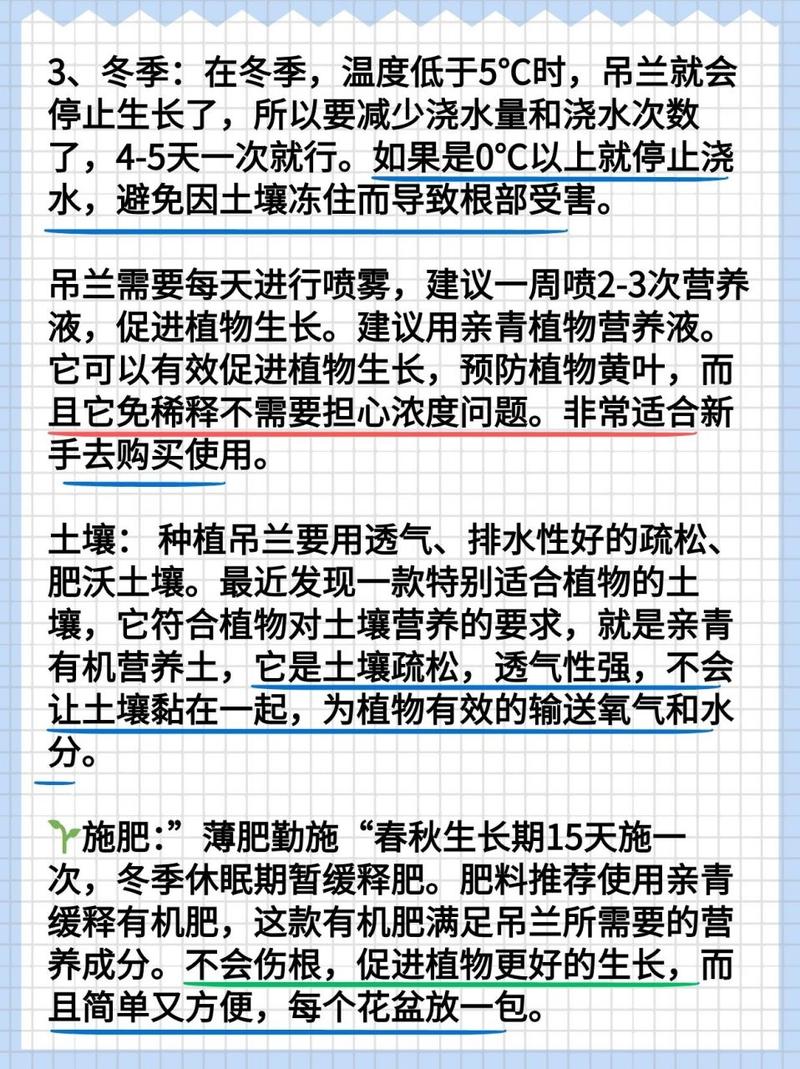 吊兰怎么养才长得粗壮(吊兰怎么养才长得粗壮呢)-第6张图片-多多自然网 吊兰怎么养才长得粗壮(吊兰怎么养才长得粗壮呢)-第6张图片-多多自然网