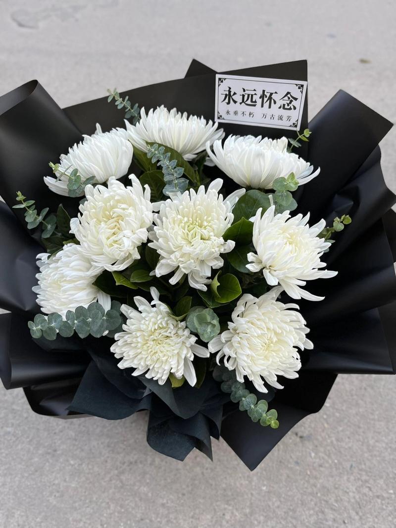 永生菊的种植方法(永生菊怎么种)-第1张图片-多多自然网 永生菊的种植方法(永生菊怎么种)-第1张图片-多多自然网