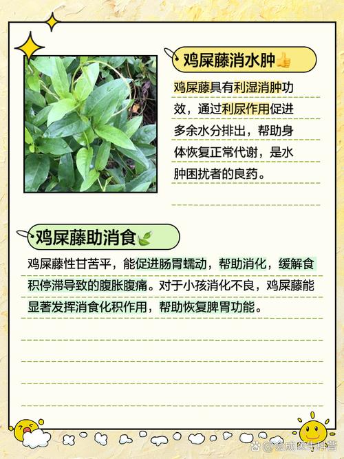 鸡屎藤的繁殖方法(鸡屎藤的繁殖方法视频)-第1张图片-多多自然网 鸡屎藤的繁殖方法(鸡屎藤的繁殖方法视频)-第1张图片-多多自然网