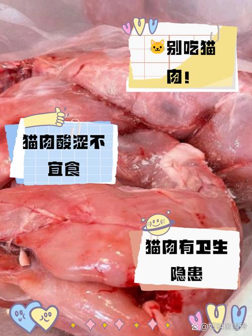 凌樱多肉怎么养(多肉凌娟好养吗)-第8张图片-多多自然网 凌樱多肉怎么养(多肉凌娟好养吗)-第8张图片-多多自然网