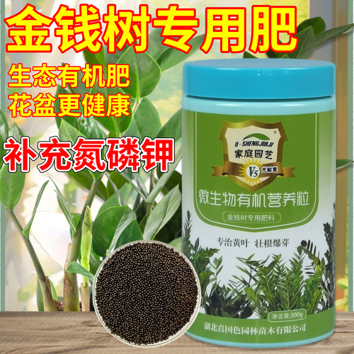 金钱树施什么肥好(金钱树要施什么肥才会叶子翠绿)-第5张图片-多多自然网 金钱树施什么肥好(金钱树要施什么肥才会叶子翠绿)-第5张图片-多多自然网