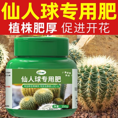 仙人掌施肥用什么肥料(仙人掌类用什么肥)-第3张图片-多多自然网 仙人掌施肥用什么肥料(仙人掌类用什么肥)-第3张图片-多多自然网