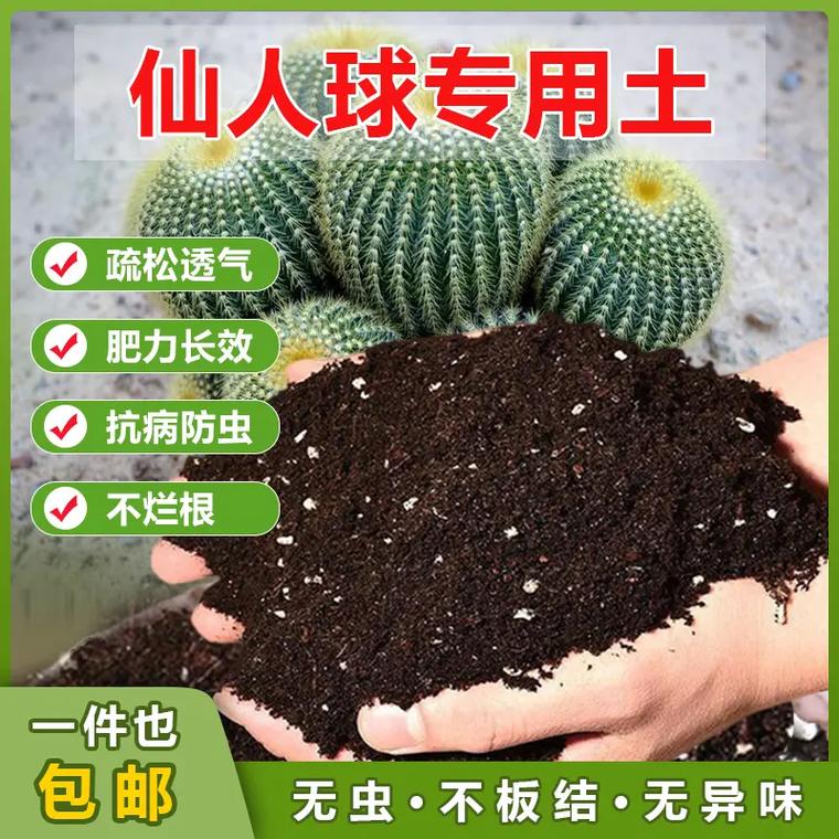 仙人掌施肥用什么肥料(仙人掌类用什么肥)-第5张图片-多多自然网 仙人掌施肥用什么肥料(仙人掌类用什么肥)-第5张图片-多多自然网
